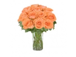 Nights to Love - 12 Stems Vase
